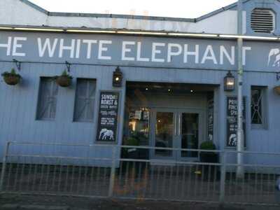 The White Elephant