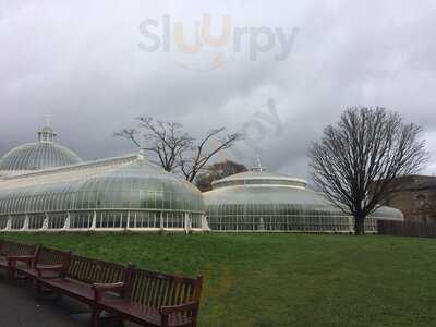 The Tearoom At The Botanics
