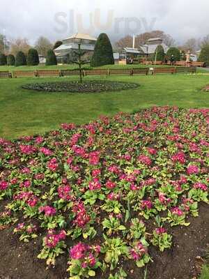 The Tearoom At The Botanics