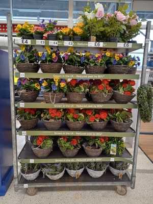 Marks & Spencer Cafe