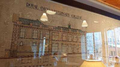 Royal Dick Bar At Summerhall