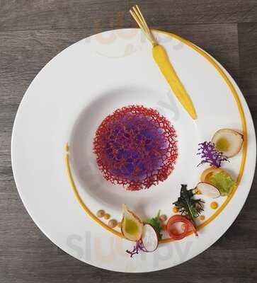 Juniperus Ginner Experience