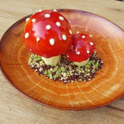 Juniperus Ginner Experience