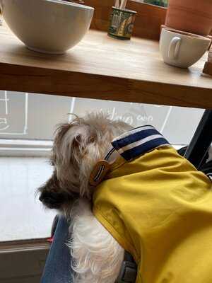 Peppers Sandwich Bar