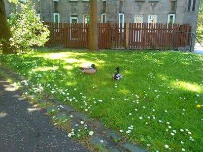 Sculleries Of Stockbridge