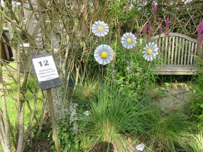 New Hopetoun Gardens Orangery Tearoom