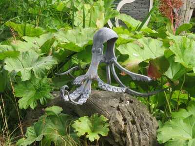 New Hopetoun Gardens Orangery Tearoom