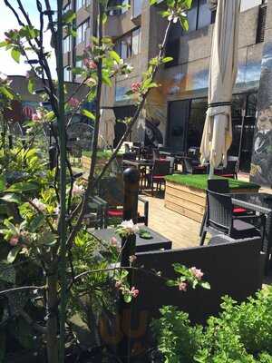 The Urban Roof Terrace