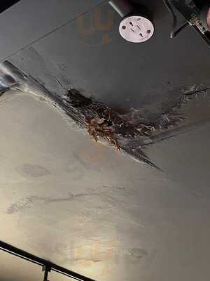 Yo! Edinburgh Princes St