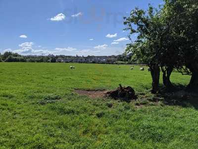 Mr Singhs At The Castle