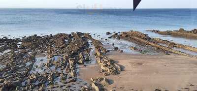 The Rockville Joppa Pans