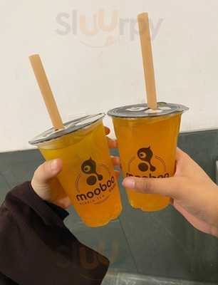 Mooboo