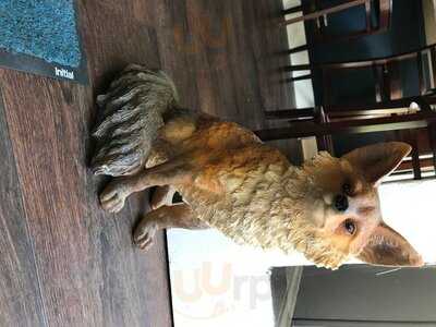 Fox & Co Caterers Cafe