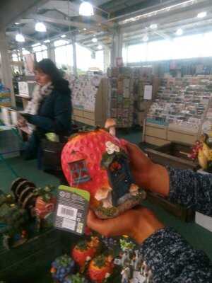 Dobbies Garden Centre Milngavie