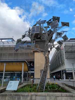 Cafe At We The Curious