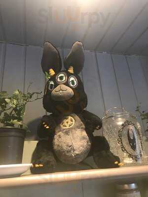 Black Rabbit
