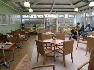 Dobbies Garden Centre Braehead