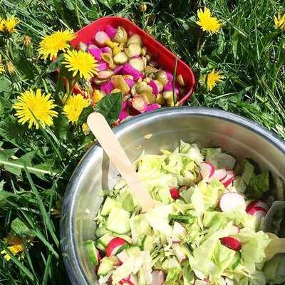 The Falafel Prophecy