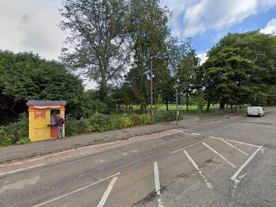 The Falafel Prophecy