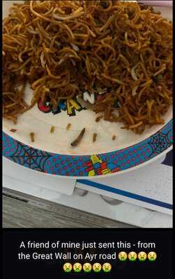 The Great Wall Of China Chinese Takeaway