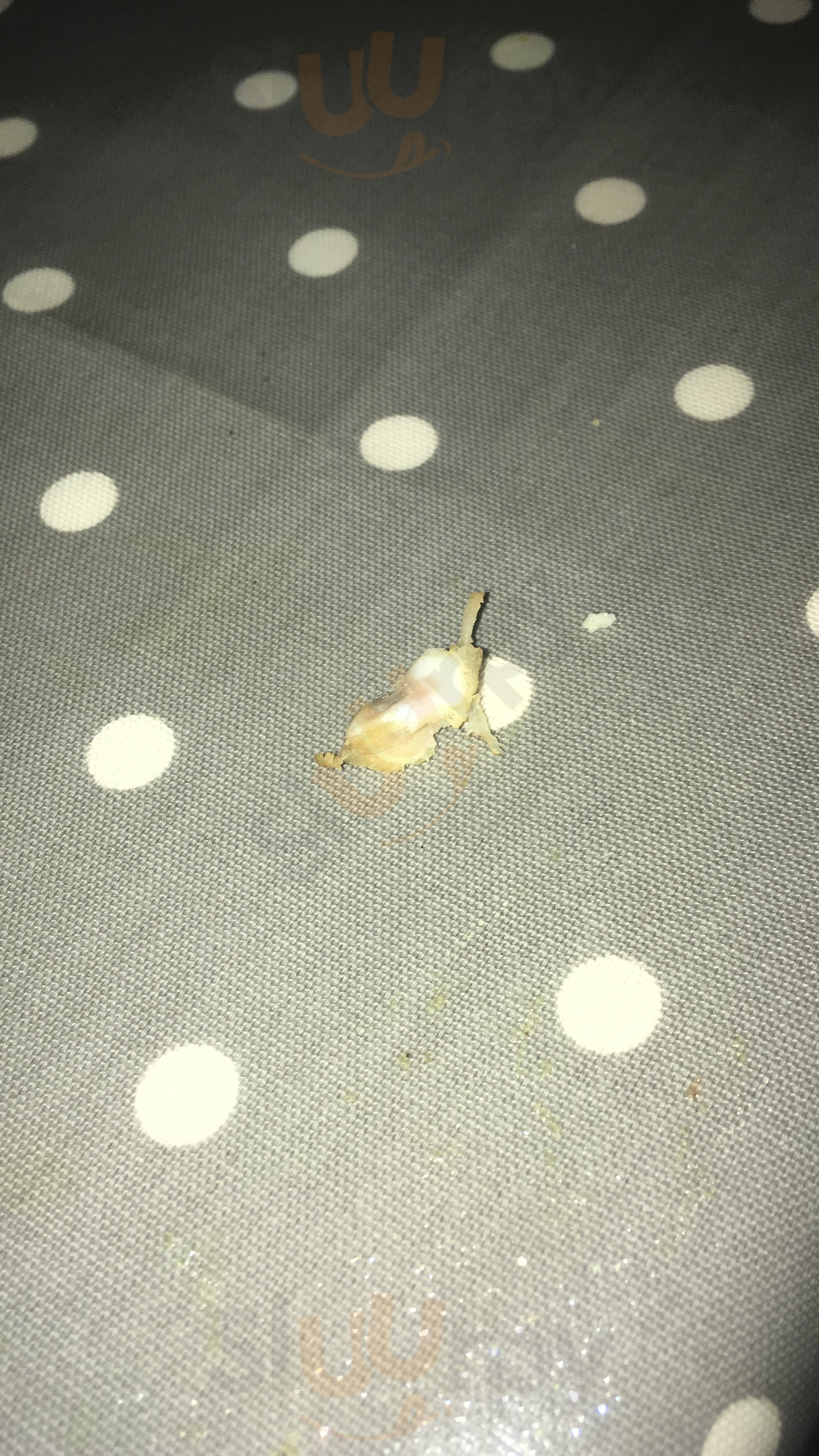 New Skirving Chinese Take Away