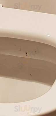 Kfc - Edinburgh Craigleith