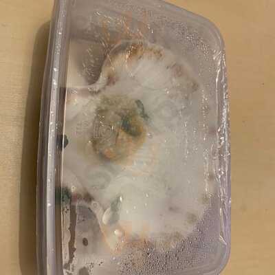 Yang's Palace Club 33