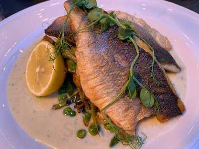 The Sun In Splendour