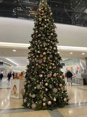 Waitrose Steak And Oyster Bar