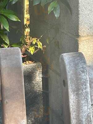 The Beaufort Pub & Dining