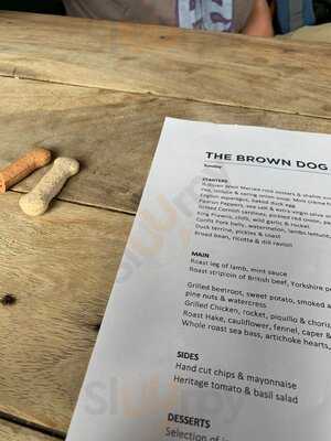 The Brown Dog