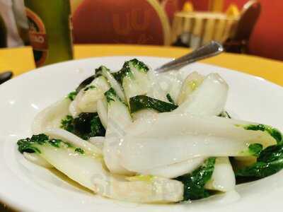 Lotus Chinese Floating