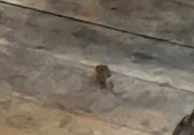 St. Stephen's Tavern