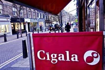 Cigala
