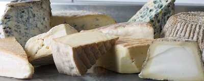 Cheddar Deli Cheese Shop