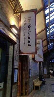 Deli Cafe - Natural History Museum
