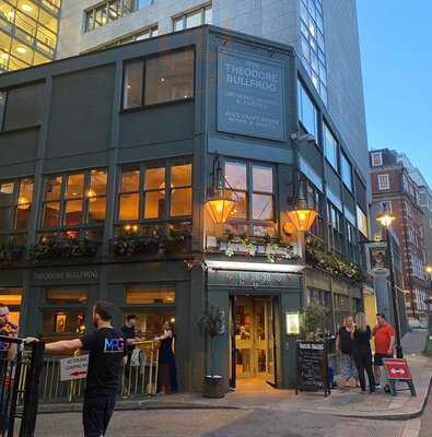 The Theodore Bullfrog