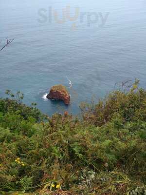 Piggies Sandwich Bar