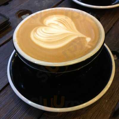 Curator's Coffee Studio