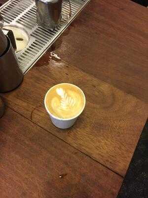 Curator's Coffee Studio