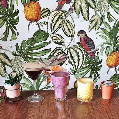 Tupi Elephant & Castle