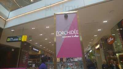 L'orchidee Macarons & Cakes
