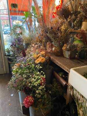 You Don't Bring Me Flowers