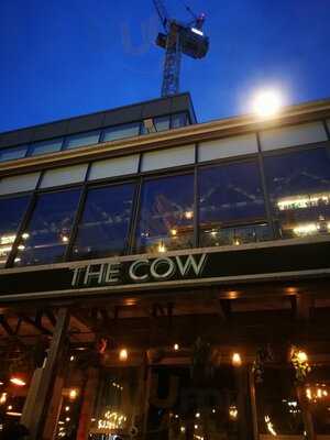 The Cow