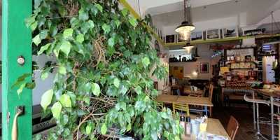 Doctor Espresso's Bar No 3