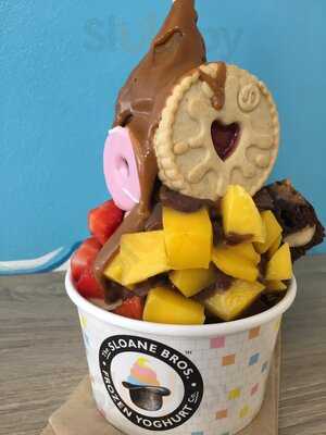 The Sloane Brothers Frozen Yoghurt Co