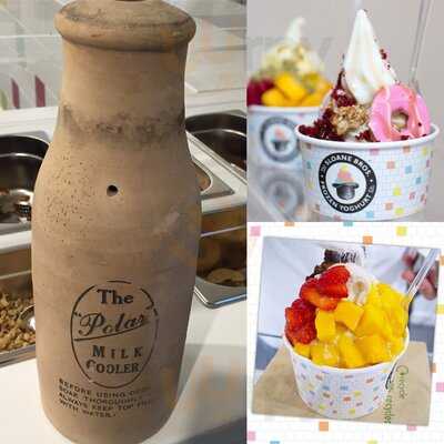 The Sloane Brothers Frozen Yoghurt Co