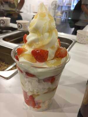 The Sloane Brothers Frozen Yoghurt Co