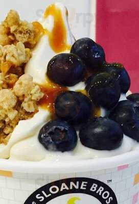 The Sloane Brothers Frozen Yoghurt Co