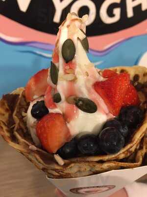 The Sloane Brothers Frozen Yoghurt Co